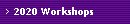 2020 Workshops